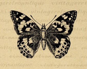 Painted-Lady Butterfly Graphic Digital Download Illustration Image Printable Vintage Clip Art for Iron on Transfers etc 300dpi No.3193