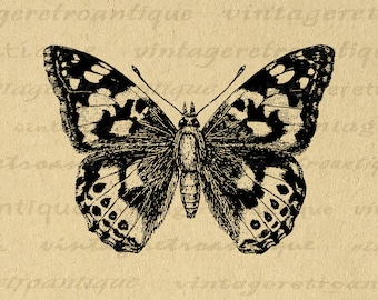 Painted-Lady Schmetterling Grafik Digitaler Download Illustration Bild druckbare Vintage Clip Art für Aufbügler etc 300dpi No.3193