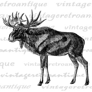 Printable Elk Digital Image Graphic Old Fashioned Illustration Antique Deer Clip Art for Transfers Making Prints etc 300dpi No.2184 image 2