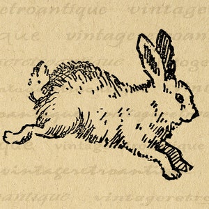 Cute Bunny Printable Image Digital Rabbit Illustration Download Graphic Vintage Clip Art for Iron on Transfers etc 300dpi No.2382 image 1
