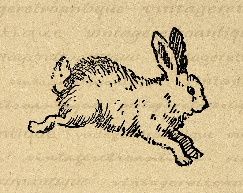 Cute Bunny Printable Image Digital Rabbit Illustration Download Graphic Vintage Clip Art for Iron on Transfers etc 300dpi No.2382 image 1