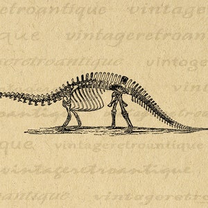Brontosaurus Dinosaur Skeleton Printable Digital Graphic Image Download Vintage Clip Art for Transfers Prints etc 300dpi No.2728 image 1