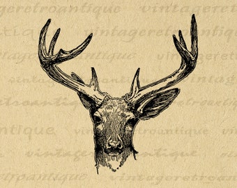 Printable Antique Deer Graphic Instant Download Deer Antlers Image Illustration Digital Vintage Clip Art for Transfers 300dpi No.444