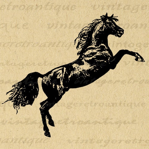 Vintage Image Horses Instant Download Digital Printable Retro | Etsy