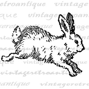 Cute Bunny Printable Image Digital Rabbit Illustration Download Graphic Vintage Clip Art for Iron on Transfers etc 300dpi No.2382 image 2