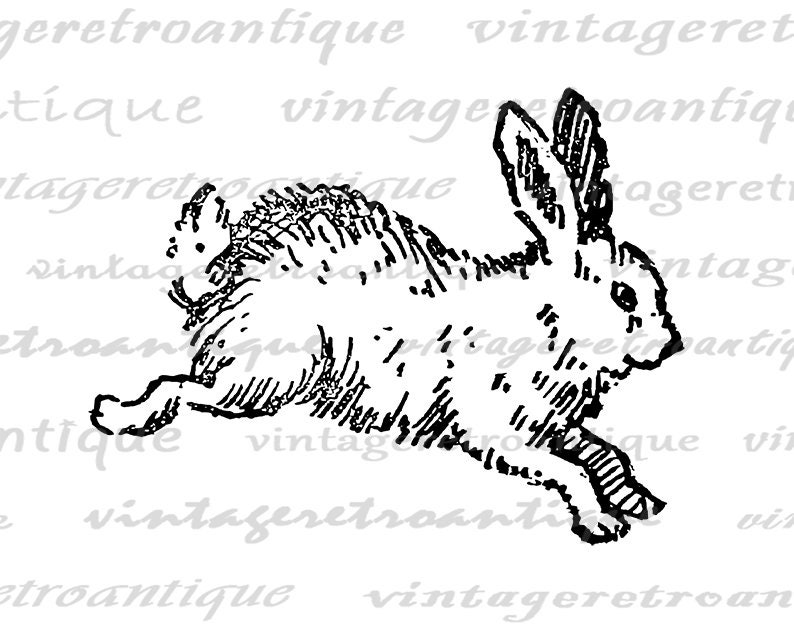 Cute Bunny Printable Image Digital Rabbit Illustration Download Graphic Vintage Clip Art for Iron on Transfers etc 300dpi No.2382 image 2