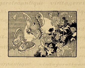 Digital Printable Butterflies Download Antique Illustration Graphic Image Vintage Flower Garden Clip Art for Transfers 300dpi No.754