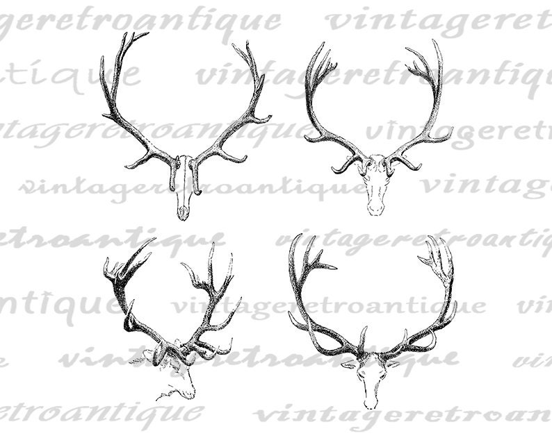 Deer Clip Art, Deer Antlers Clipart, Deer Antler Print, Digital Image ...