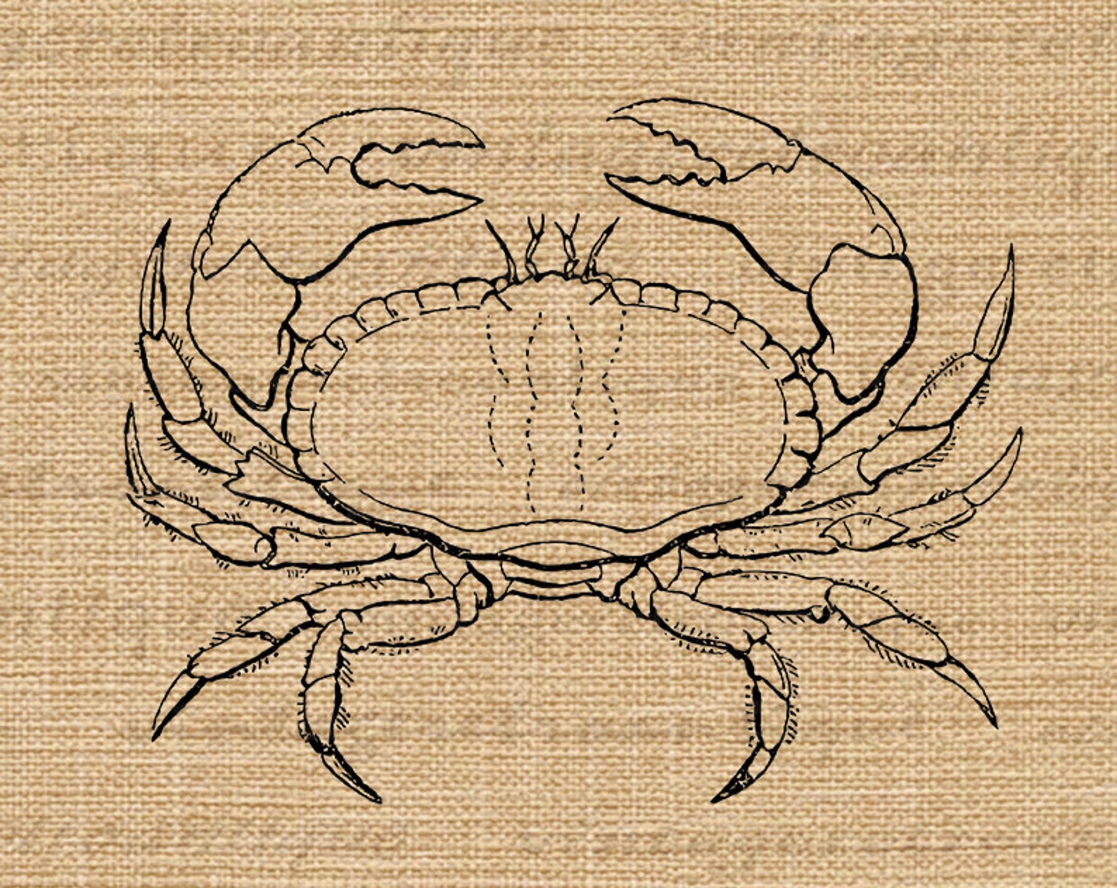 Ocean Crab Printable Digital Image Download Sea Themed - Etsy