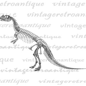Digital Image Dinosaur Skeleton Paleontology Bones Printable Graphic ...