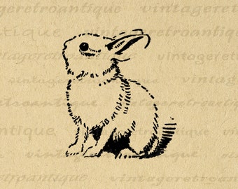 Cute Bunny Rabbit Digital Image Printable Cute Animal Art Download Vintage Graphic Antique Bunny Clip Art for Transfers 300dpi No.061