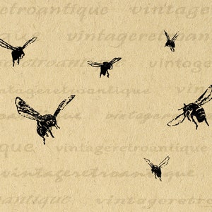 Digital Graphic Flying Bees Printable Bee Collage Sheet Antique Image Download Vintage Bees Clip Art for Transfers etc 300dpi No.3506