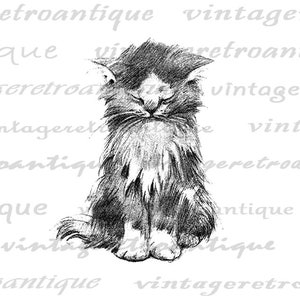 Imagen digital lindo gatito Descargar gato antiguo ilustración gráfica imprimible Vintage Clip Art para transferencias, etc. 300dpi No.1764 imagen 2