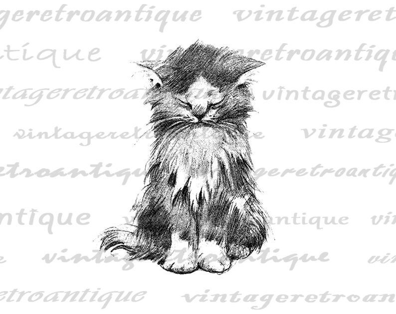 Imagen digital lindo gatito Descargar gato antiguo ilustración gráfica imprimible Vintage Clip Art para transferencias, etc. 300dpi No.1764 imagen 2