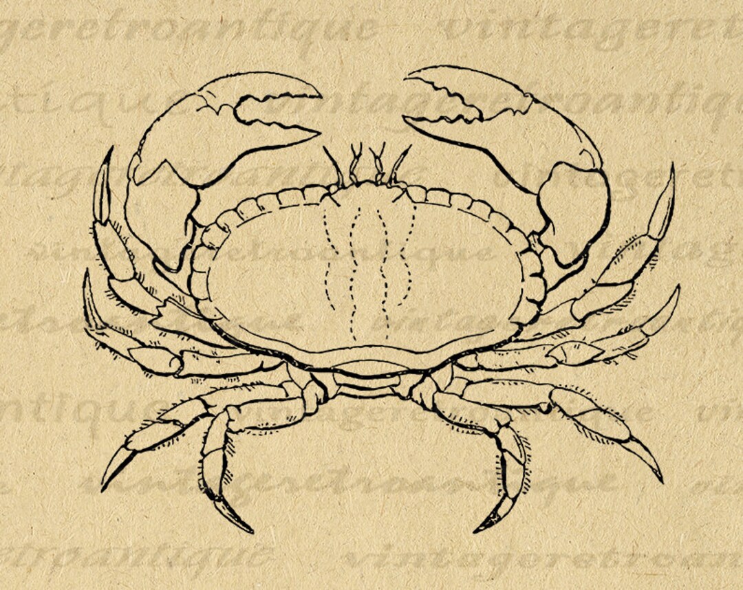 Ocean Crab Printable Digital Image Download Sea Themed Printable Crab Graphic Vintage Clip Art ...