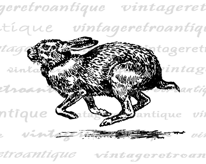 Running Rabbit Digital Image Graphic Download Antique Bunny ...