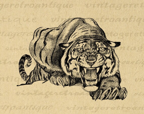 Printable Stalking Tiger Image Graphic Wild Cat Digital Image Download  Antique Tiger Vintage Clip Art for Transfers Etc 300dpi No.182 - Etsy Israel