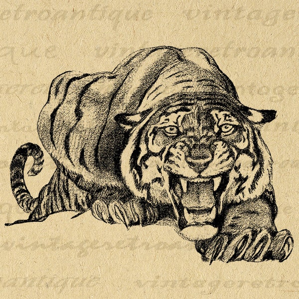 Printable Stalking Tiger Image Graphic Wild Cat Digital Image Download Antique Tiger Vintage Clip Art for Transfers etc 300dpi No.182