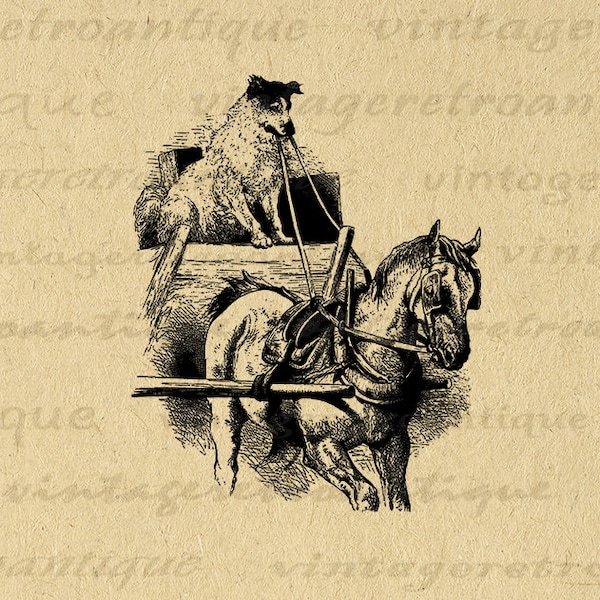 Chien conduisant une calèche Image numérique Illustration graphique imprimable Animal Artwork vintage Clip Art pour les transferts 300dpi No.3350