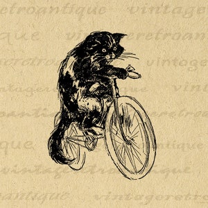 Printable Cat Riding Bicycle Digital Image Instant Download Graphic Antique Animal Clip Art for Transfers Printing etc 300dpi No.1851