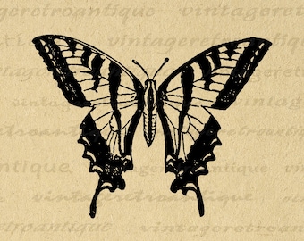 Vintage Butterfly Digital Image Graphic Insect Download Printable Antique Clip Art for Iron on Transfers Prints etc 300dpi No.4107