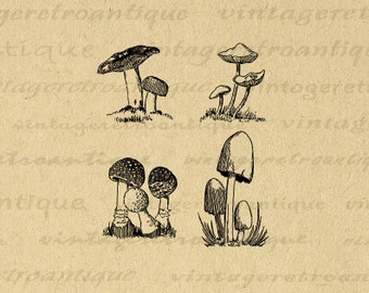 Printable Mushroom Collage Sheet Digital Graphic Mushrooms Image Vintage Clip Art for Iron on Transfers Printing etc 300dpi No.3824