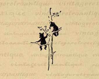 Printable Bears in Tree Graphic Download Blackbear Digital Image Vintage Bear Cub Clip Art for Transfers Printing etc 300dpi No.837