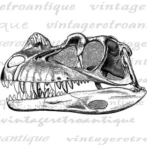 Digital Printable Dinosaur Skull Image Graphic Download Illustration ...