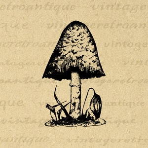 Antique Mushroom Digital Graphic Printable Download Illustration Image Vintage Clip Art for Transfers Making Prints etc 300dpi No.3584