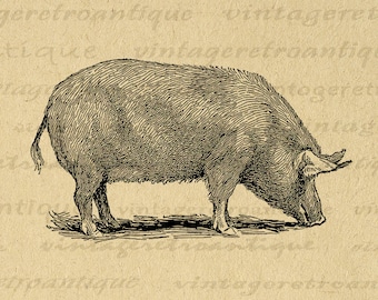 Pig Graphic Download Illustration Printable Pig Farm Animal Digital Image Antique Clip Art for Transfers Prints etc 300dpi No.3141