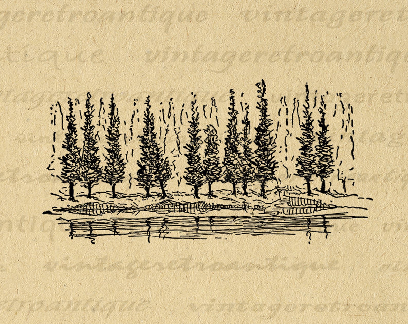 Printable Digital Pine Trees Download Antique Image Graphic - Etsy