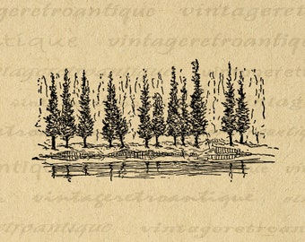 Printable Digital Pine Trees Download Antique Image Graphic Vintage Clip Art for Transfers Making Prints etc 300dpi No.830