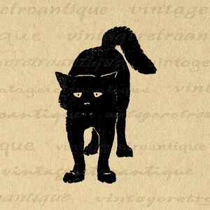 Digital Graphic Black Cat Illustration Download Kitten Image Halloween Printable Vintage Clip Art for Transfers etc 300dpi No.063