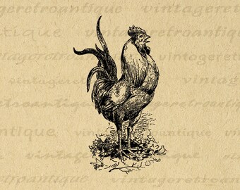 Rooster Printable Art Digital Download Printable Art Rise &amp; - Etsy