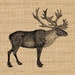 Printable Caribou Digital Image Graphic Download Artwork - Etsy