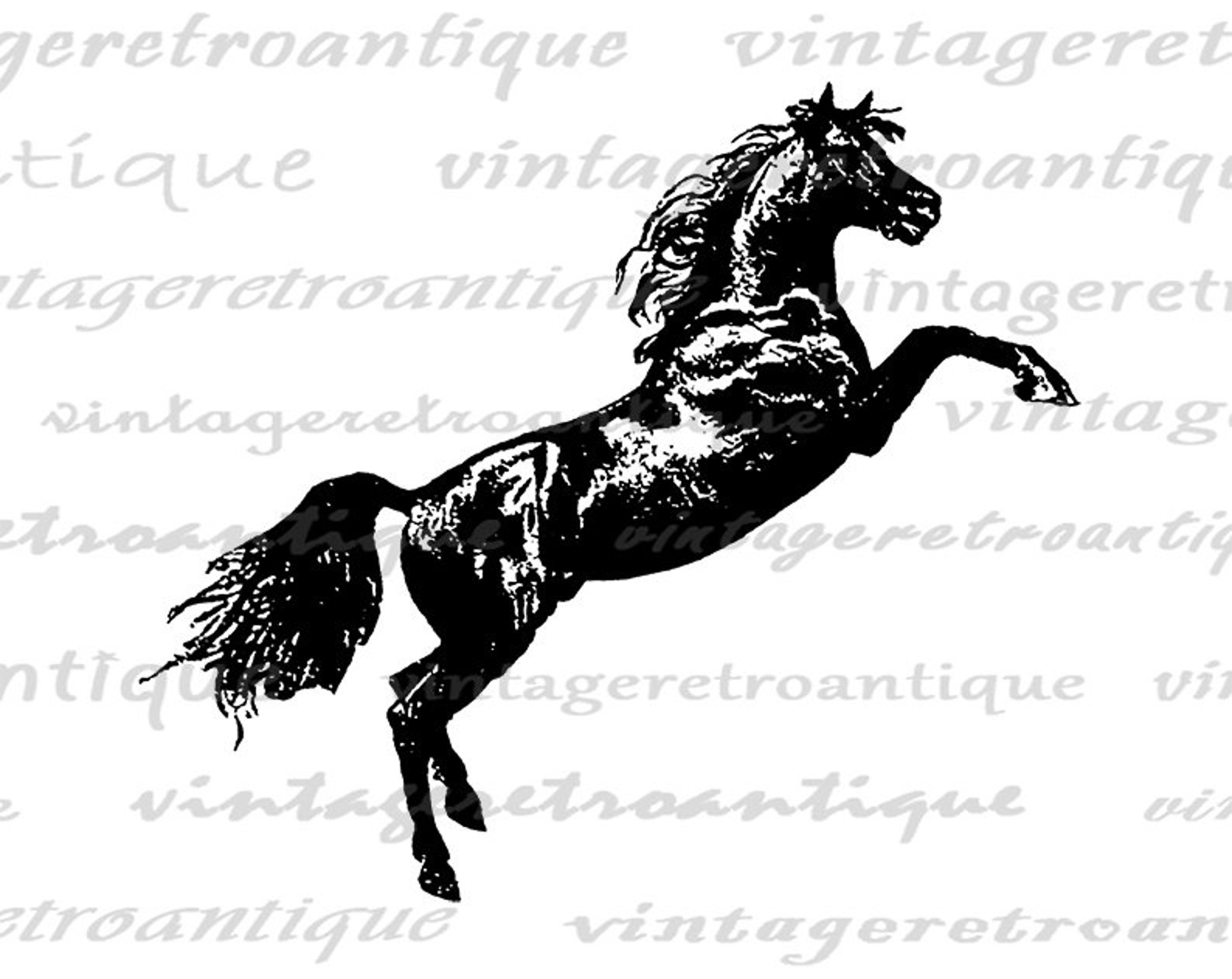 Antique Horse Graphic Printable Leaping Horse Digital Image Download