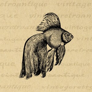 Digital Printable Goldfish Image Fish Graphic Illustration Download ...