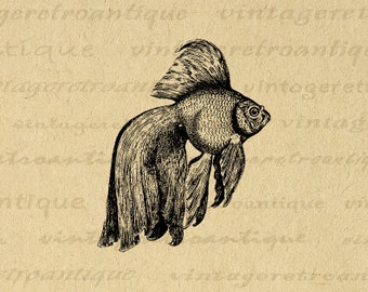 Digital Printable Goldfish Image Fish Graphic Illustration Download Vintage Clip Art for Transfers Making Prints etc 300dpi No.3592