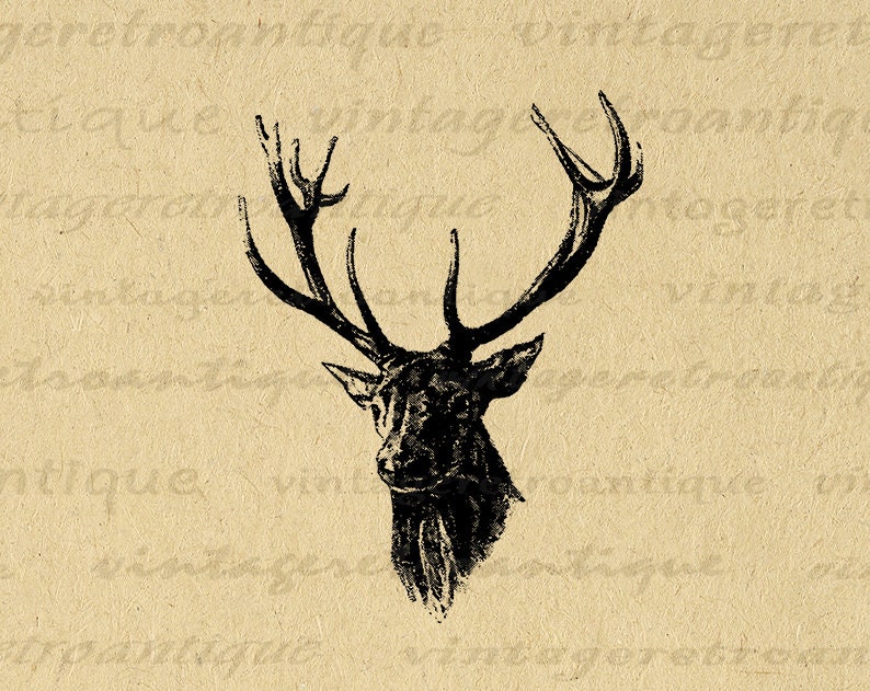Printable Image Antique Deer Digital Download Deer with Antlers Illustration Graphic Vintage Clip Art for Transfers etc 300dpi No.1985 image 1