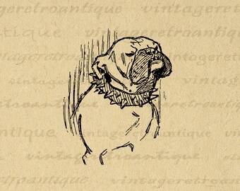 Druckbare Bulldogge Bild Hund Grafik Illustration Digital Download Vintage Bulldogge Clip Art für Transfers Druck etc 300dpi No.3150