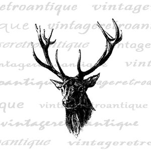 Printable Image Antique Deer Digital Download Deer with Antlers Illustration Graphic Vintage Clip Art for Transfers etc 300dpi No.1985 image 2