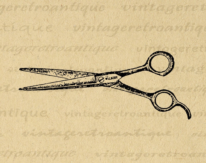 Antique hair scissors discount