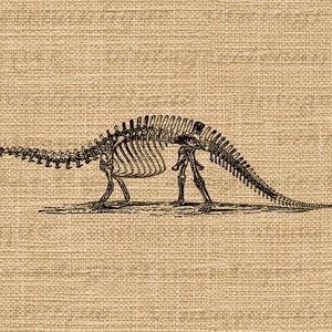 Brontosaurus Dinosaur Skeleton Printable Digital Graphic Image Download Vintage Clip Art for Transfers Prints etc 300dpi No.2728 image 3