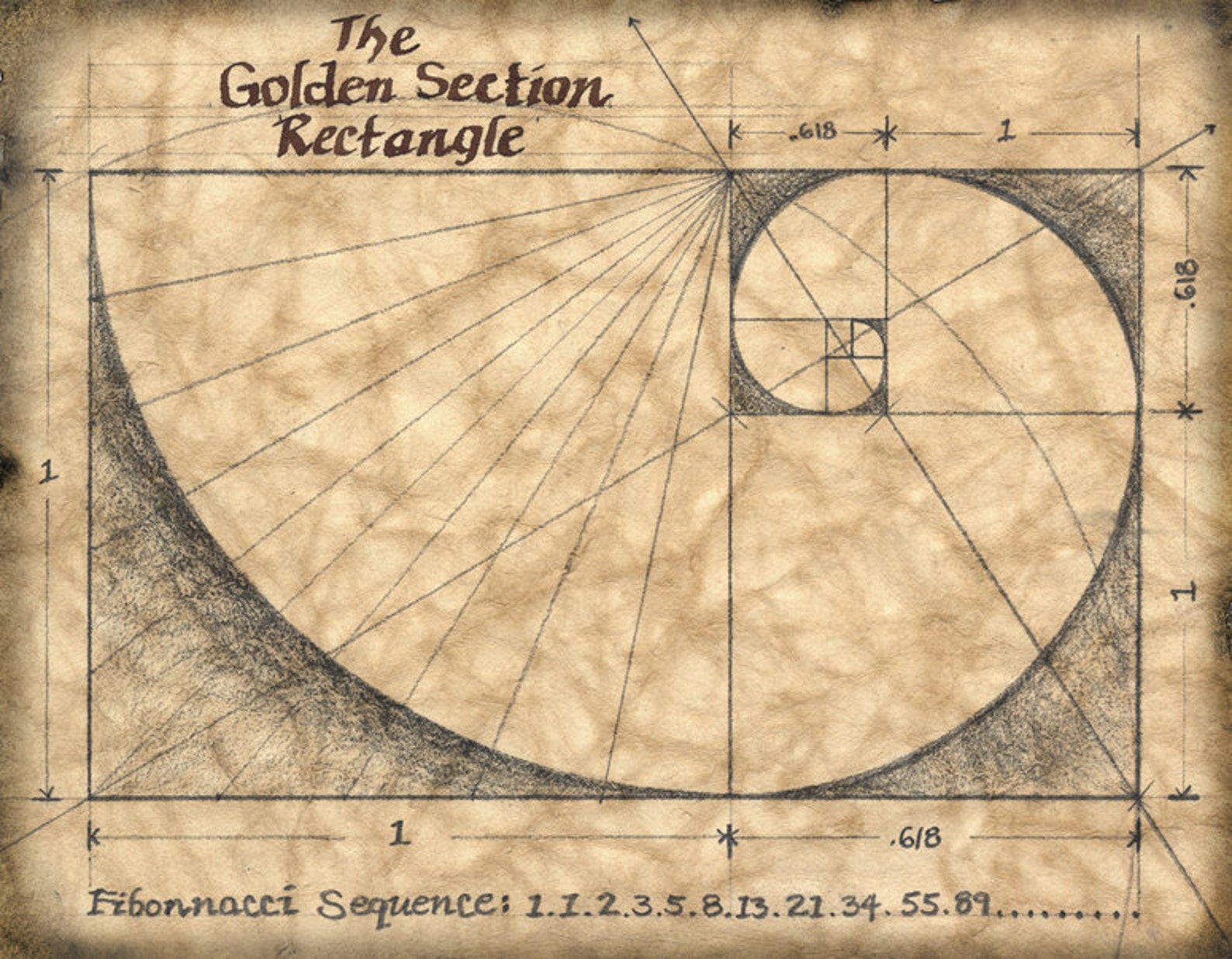 Der goldene Schnitt 11 x 14-Kunstdruck Mathematik | Etsy