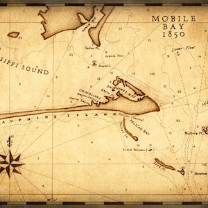 Carte de l’île Dauphin Art vers 1850 - Carte dessinée à la main - Golfe du Mexique - Mobile - Côte de l’Alabama - Dauphin Island - Mobile Bay - Dauphine