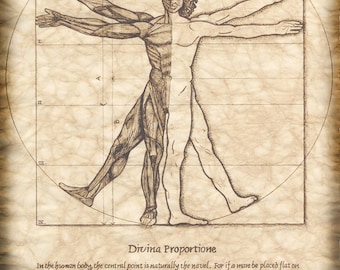 Divine Proportion Artwork 11x14, Vitruvian Man - Da Vinci's Man in the Circle - Vitruvious - Proportions - Golden Section - Physicians - PT