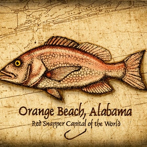 Orange Beach Red Snapper Art Print 11 x 14, Orange Beach Alabama, Deep Sea Fishing, Snapper, Red Snapper, Gulf of Mexico, Game Fish