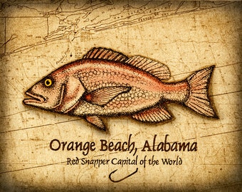 Orange Beach Red Snapper Art Print 11 x 14, Orange Beach Alabama, Deep Sea Fishing, Snapper, Red Snapper, Gulf of Mexico, Game Fish