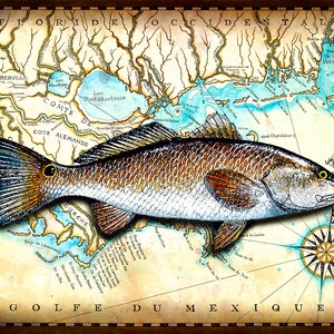 Redfish en louisiana map; Obras de arte dibujadas a mano; Gallineta nórdica; Luisiana; Pesca En Luisiana; Nueva Orleans; Venecia LA; Redfish Prints; Mapas Antiguos