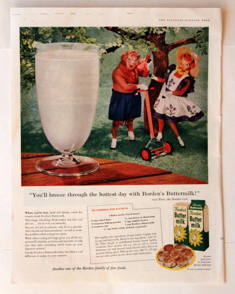 1956 Borden's Buttermilk Ad Butter Milk Cows Wall Etsy